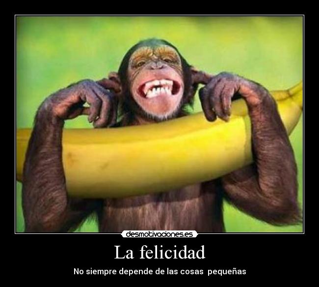 La felicidad -