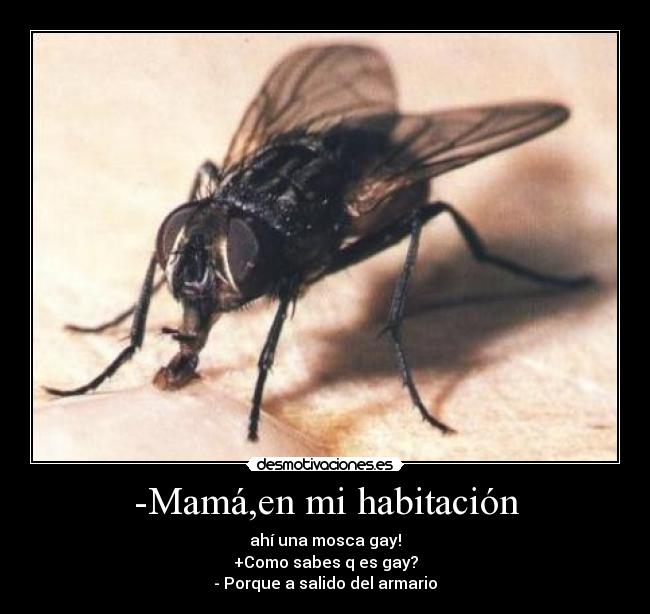 -Mamá,en mi habitación - 