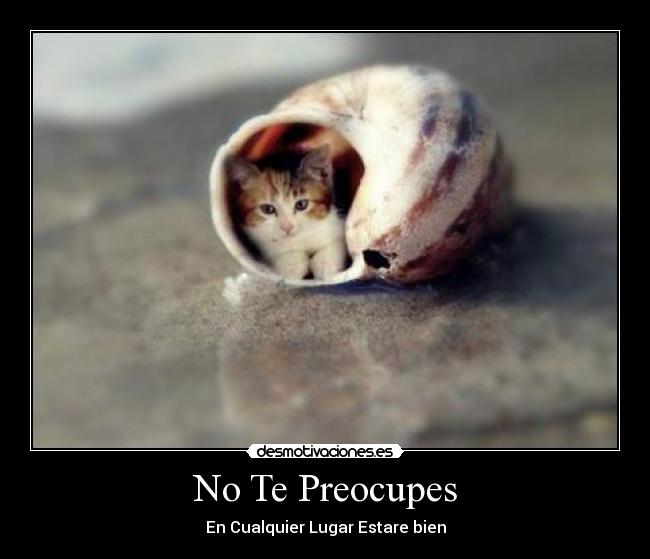 No Te Preocupes - 