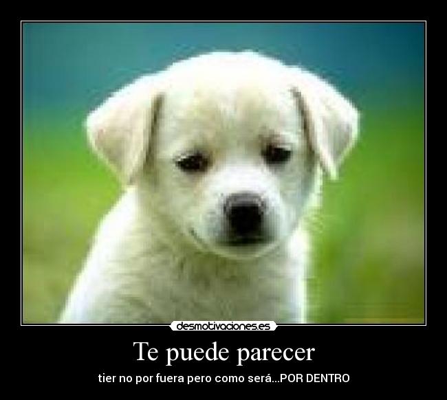 Te puede parecer - tier no por fuera pero como será...POR DENTRO