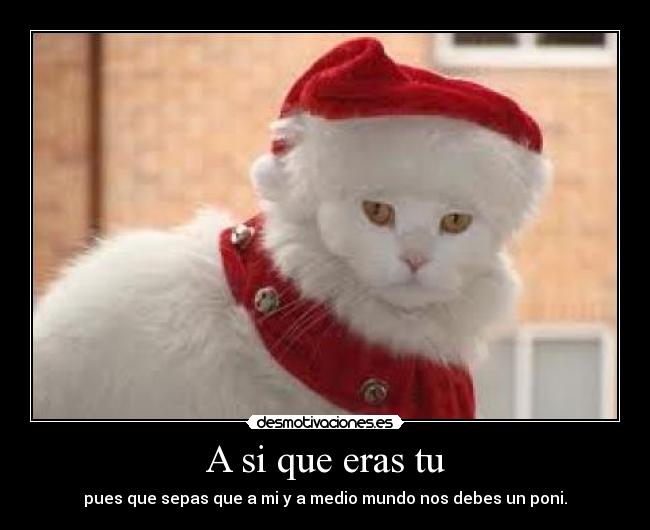 A si que eras tu - pues que sepas que a mi y a medio mundo nos debes un poni.