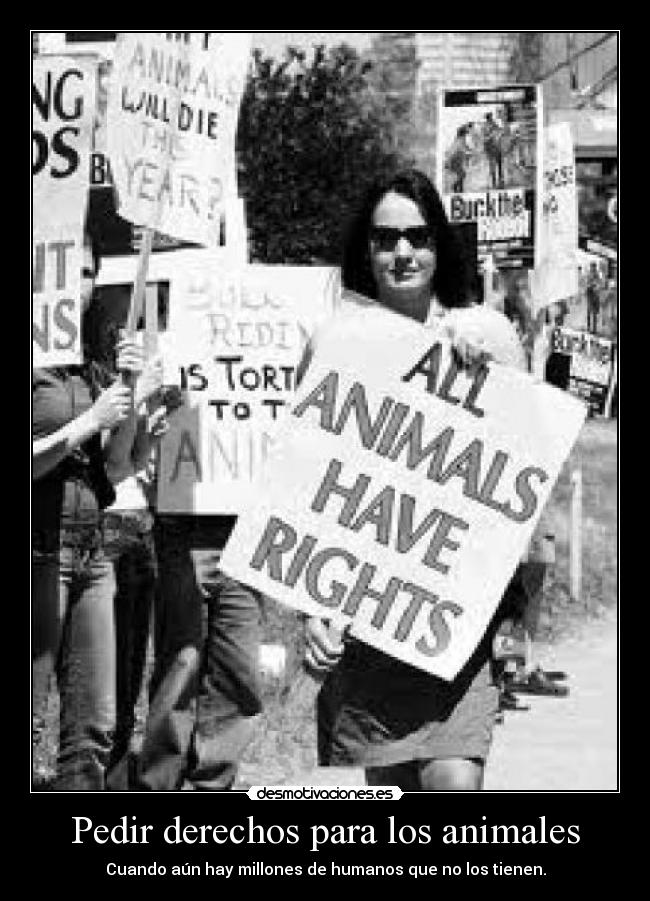 Pedir derechos para los animales - 
