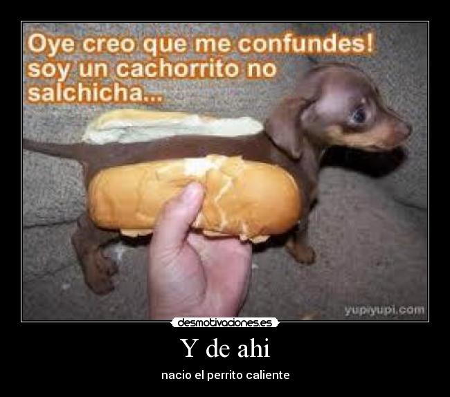 Y de ahi - nacio el perrito caliente