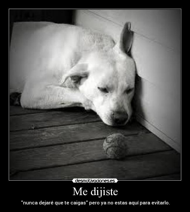 Me dijiste -