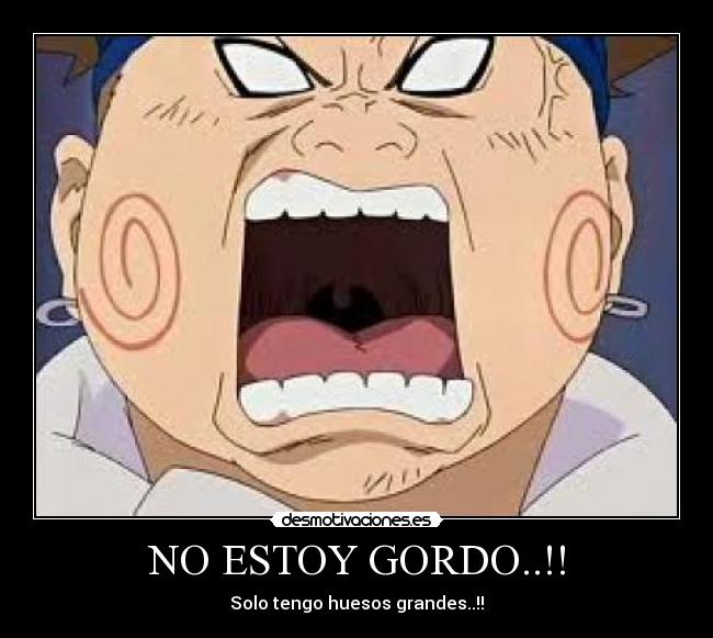 NO ESTOY GORDO..!! -