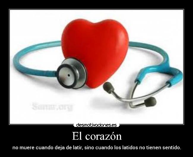 El corazón -