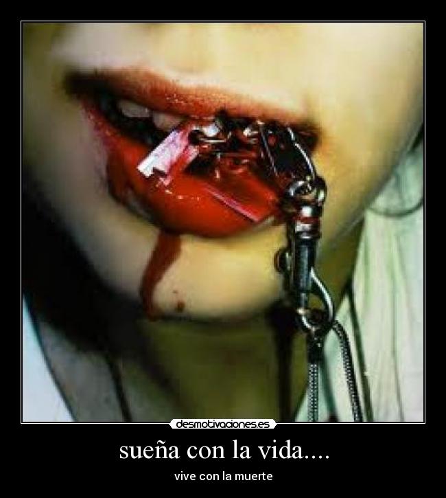 sueña con la vida.... - 