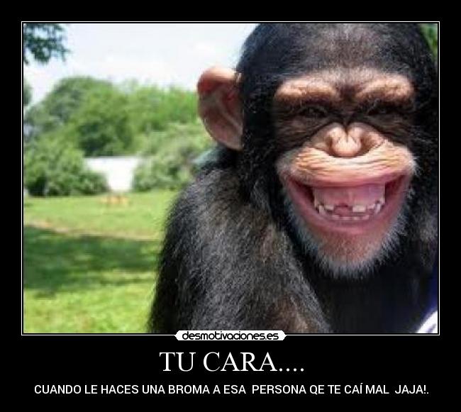 TU CARA.... - 