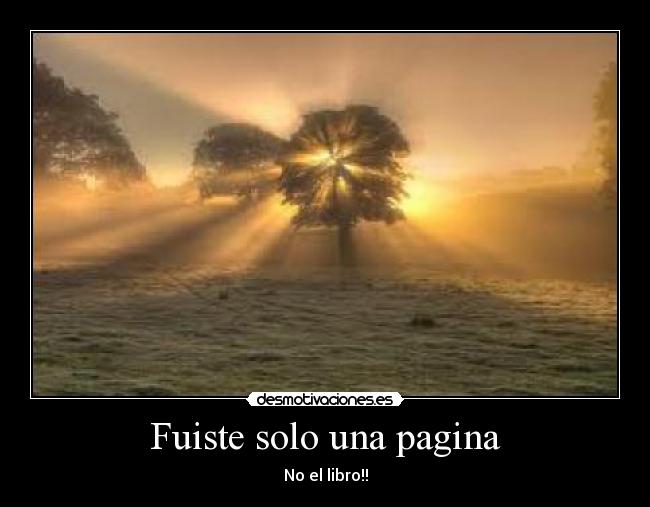 Fuiste solo una pagina - 