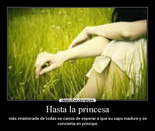 Hasta la princesa - 