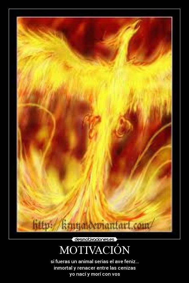 carteles lucas suarez desmotivaciones