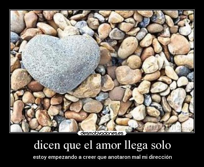 carteles amor xubitha desmotivaciones