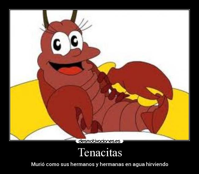 Tenacitas - Murió como sus hermanos y hermanas en agua hirviendo