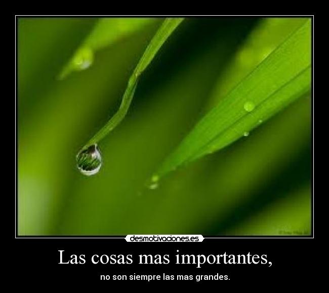 Las cosas mas importantes, - no son siempre las mas grandes.