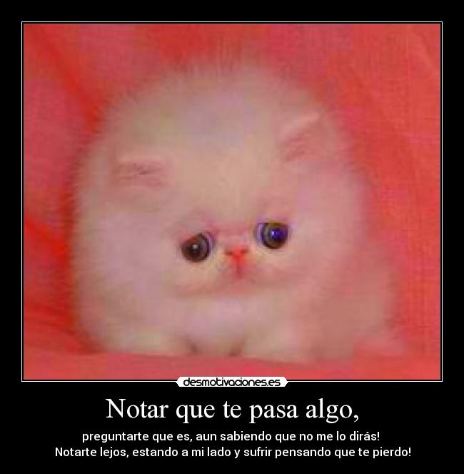 Notar que te pasa algo, - preguntarte que es, aun sabiendo que no me lo dirás! 
Notarte lejos, estando a mi lado y sufrir pensando que te pierdo!