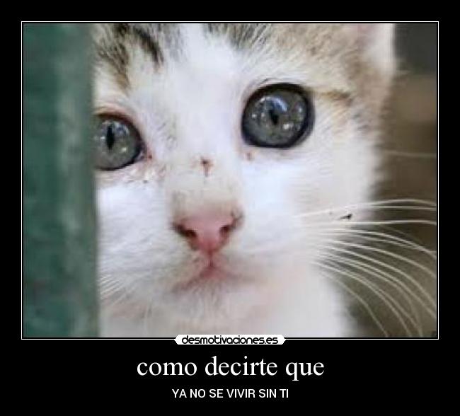 carteles ariel desmotivaciones