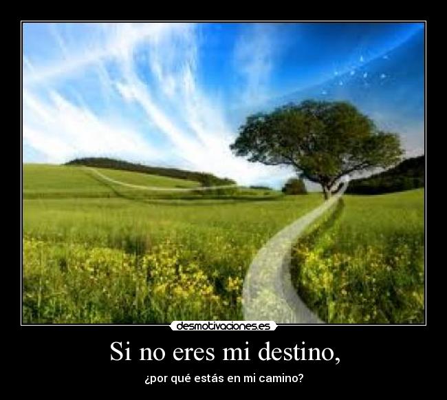 Si no eres mi destino, - ¿por qué estás en mi camino?