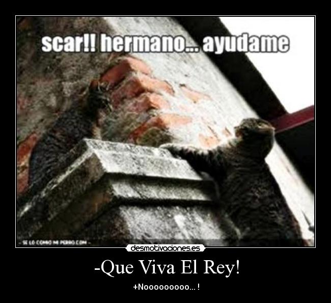-Que Viva El Rey! - +Nooooooooo... !