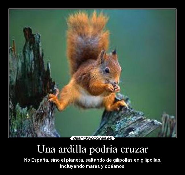 Una ardilla podria cruzar - No España, sino el planeta, saltando de gilipollas en gilipollas,
incluyendo mares y océanos.