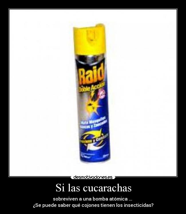 Si las cucarachas - 
