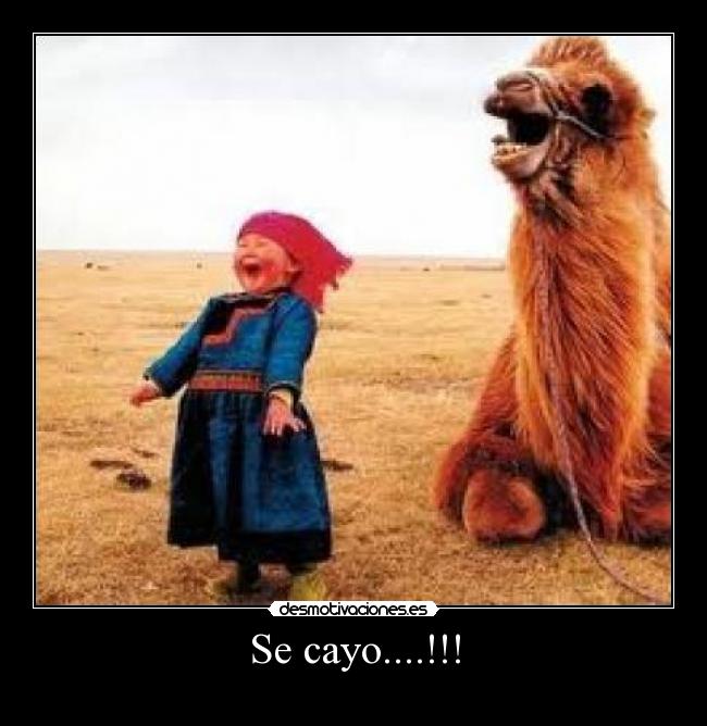 Se cayo....!!! -