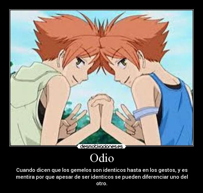 Odio - Cuando dicen que los gemelos son identicos hasta en los gestos, y es
mentira por que apesar de ser identicos se pueden diferenciar uno del
otro.