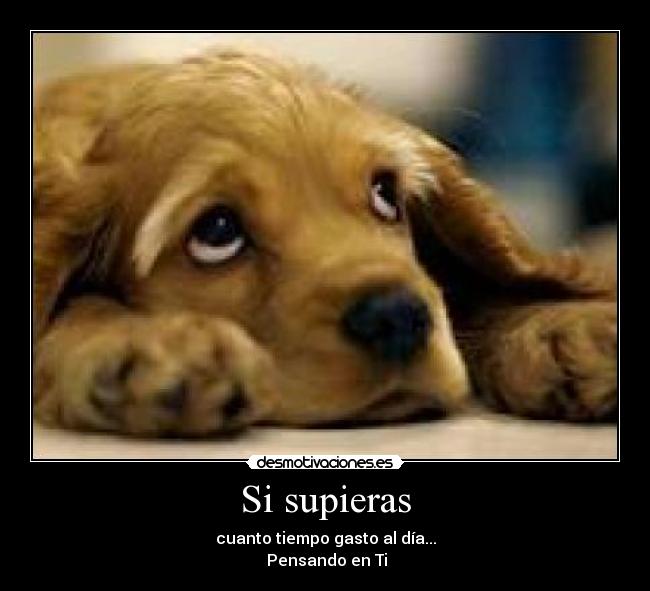 Si supieras -