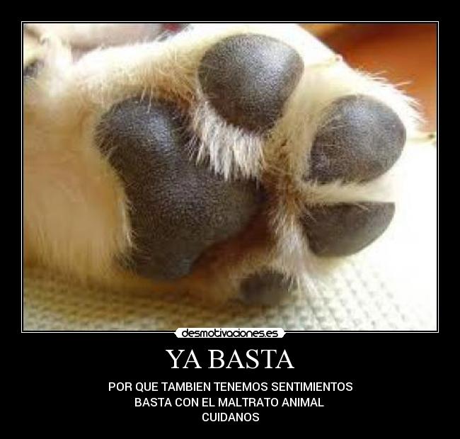 carteles pau desmotivaciones