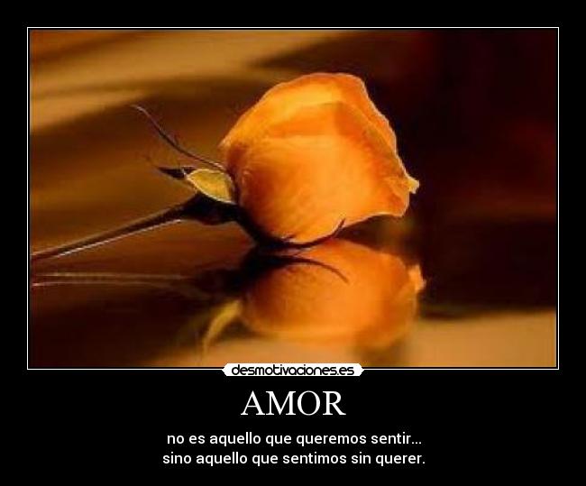 AMOR - no es aquello que queremos sentir...
sino aquello que sentimos sin querer.