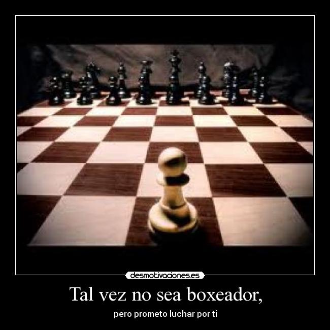 Tal vez no sea boxeador, - pero prometo luchar por ti