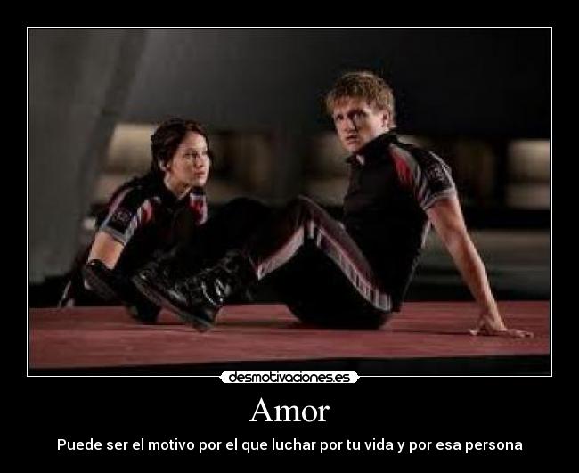 Amor - 