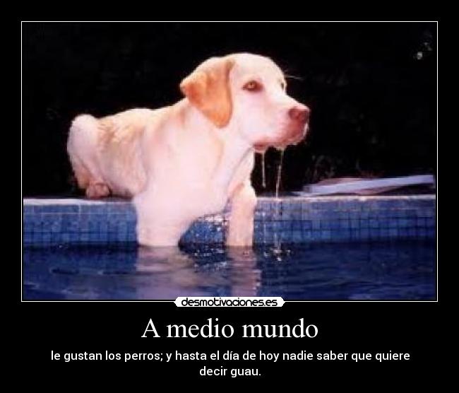 A medio mundo - le gustan los perros; y hasta el día de hoy nadie saber que quiere decir guau.