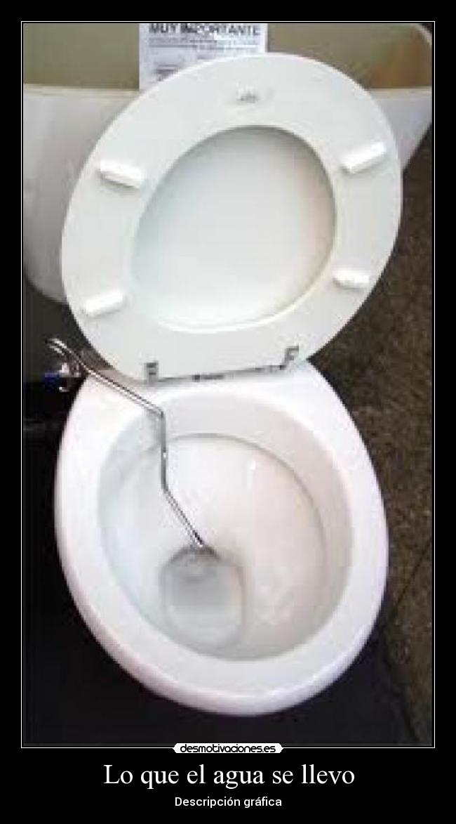 Lo que el agua se llevo -