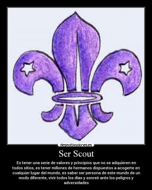 Ser Scout -