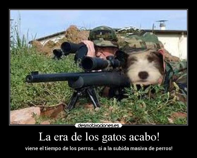 La era de los gatos acabo! - viene el tiempo de los perros... si a la subida masiva de perros!