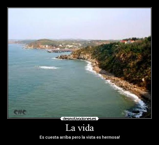 La vida -