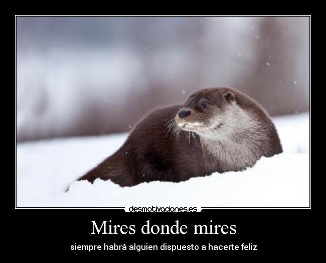 Mires donde mires - siempre habrá alguien dispuesto a hacerte feliz