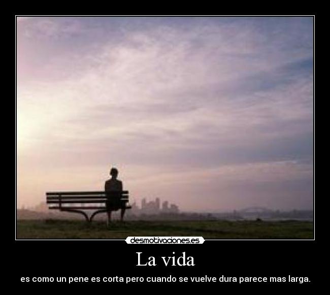 La vida -