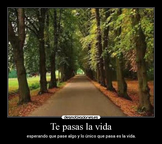 Te pasas la vida -