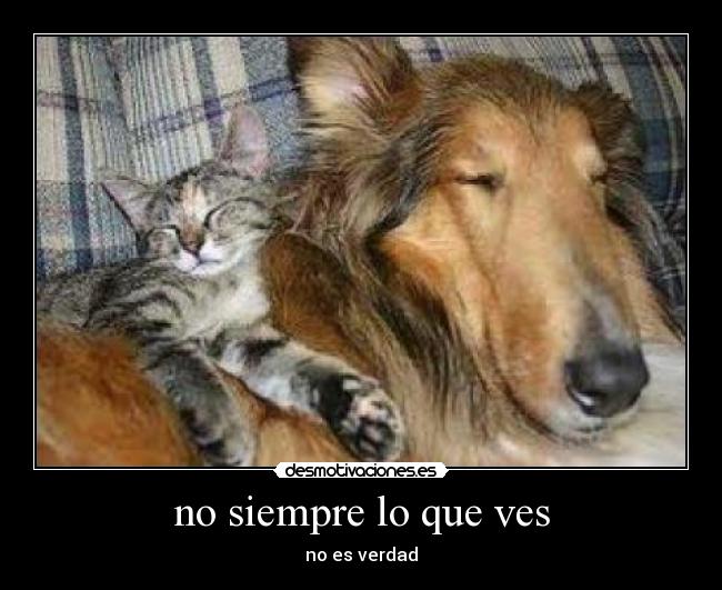 no siempre lo que ves - no es verdad
