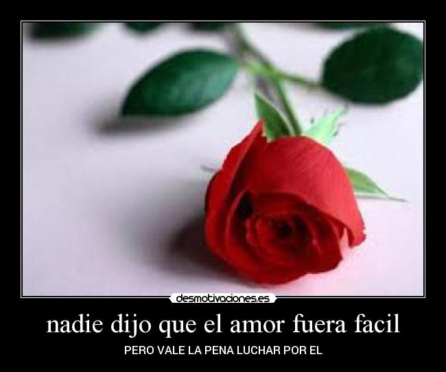 nadie dijo que el amor fuera facil -