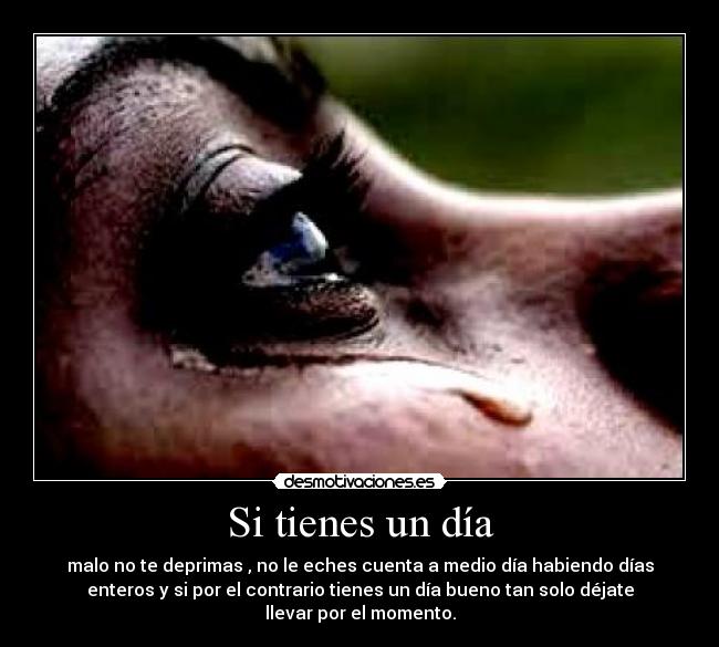 Si tienes un día - malo no te deprimas , no le eches cuenta a medio día habiendo días
enteros y si por el contrario tienes un día bueno tan solo déjate
llevar por el momento.