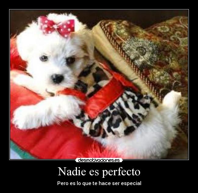 Nadie es perfecto - Pero es lo que te hace ser especial