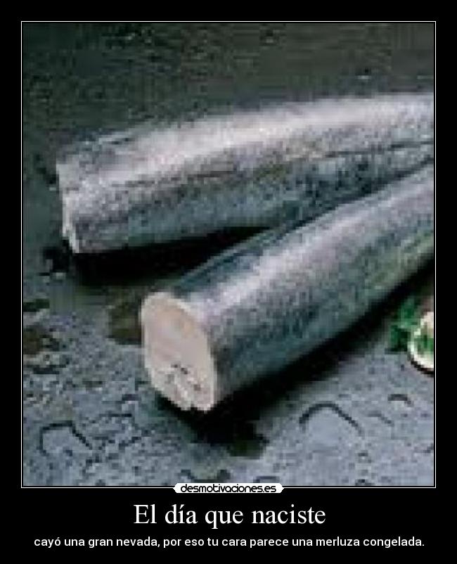 El día que naciste - cayó una gran nevada, por eso tu cara parece una merluza congelada.