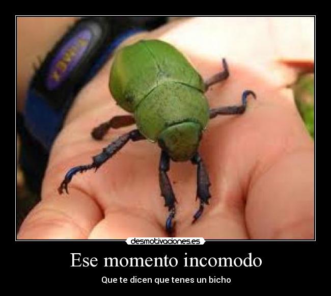 carteles naza agus desmotivaciones