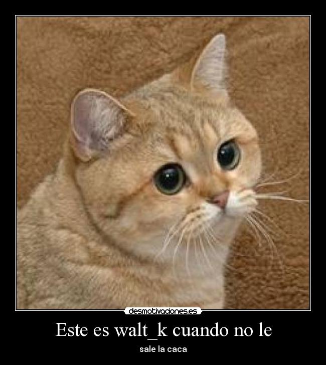 Este es walt_k cuando no le - sale la caca