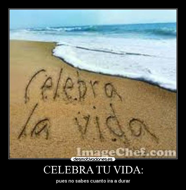 carteles vida angielizarazo desmotivaciones