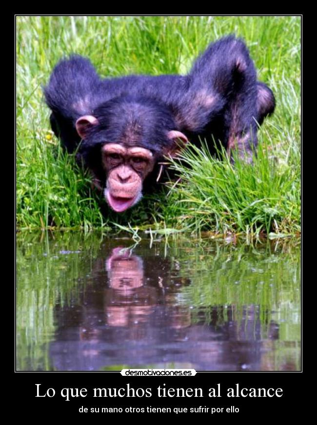 Lo que muchos tienen al alcance - de su mano otros tienen que sufrir por ello