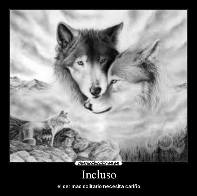 Incluso - el ser mas solitario necesita cariño