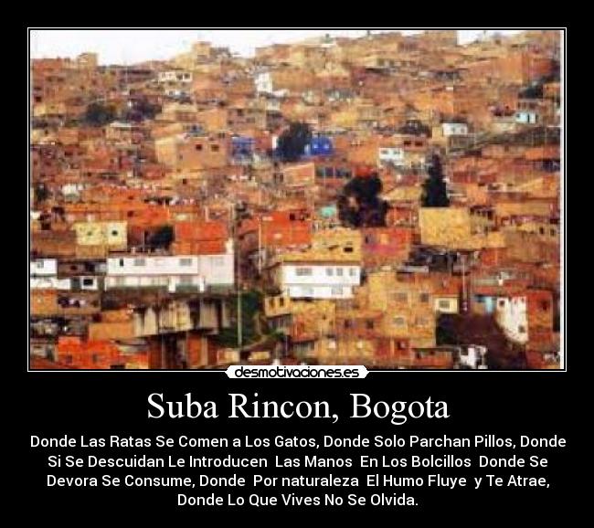 Suba Rincon, Bogota - Donde Las Ratas Se Comen a Los Gatos, Donde Solo Parchan Pillos, Donde
Si Se Descuidan Le Introducen  Las Manos  En Los Bolcillos  Donde Se
Devora Se Consume, Donde  Por naturaleza  El Humo Fluye  y Te Atrae,
Donde Lo Que Vives No Se Olvida.